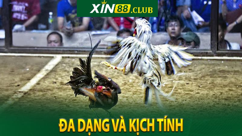 Đa dạng và kịch tính